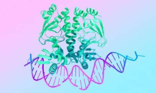 【生物信息学分析：海洋生物大数据及其关键功能基因】